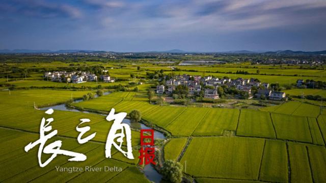【长三角日报】“苏超”第四周赛事，预约购票提前